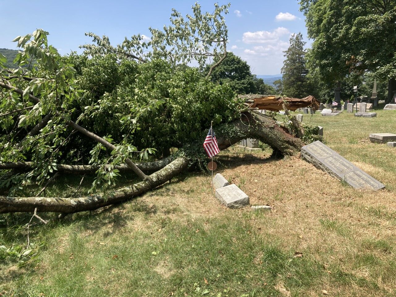Cleanup of the Aulenbach Cemetery